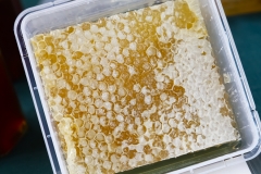 kris_jarrad_australian-honey-cellars_13
