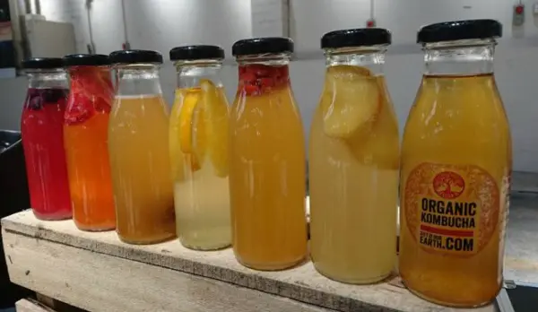 Glass bottles of organic Kombucha made by Old Bus Depot markets Stallholder, Gift of our Earth