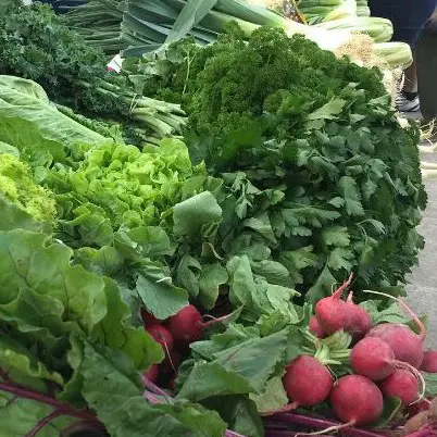 Fresh vegetables at the Old Bus Depot Markets